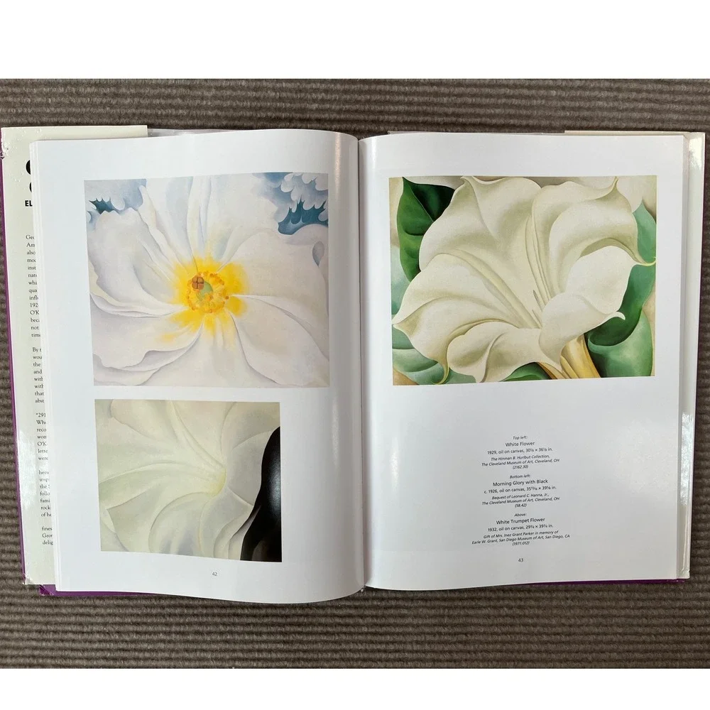 Georgia O'Keeffe Elizabeth Montgomery Art History Book Hardcover JG Press 1993